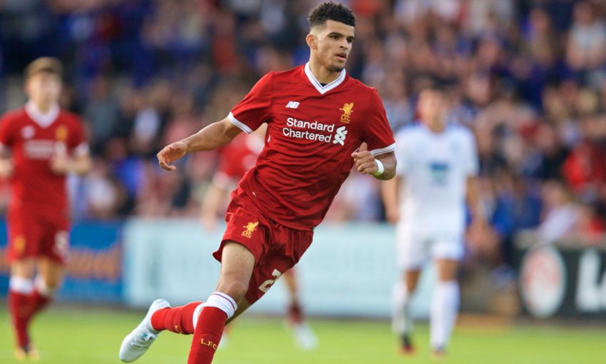 Dominic Solanke: Part To Play This&nbsp;Season?